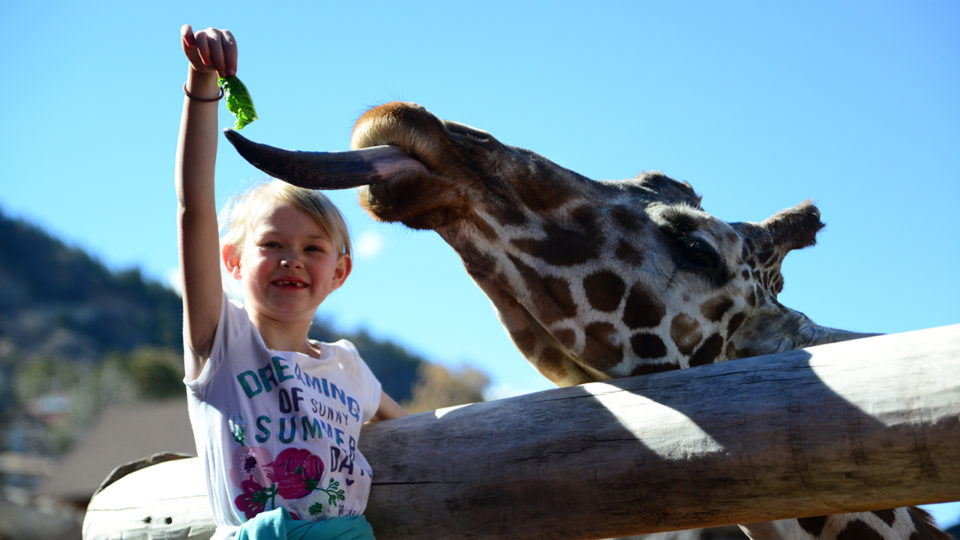 Cheyenne Mountain Zoo