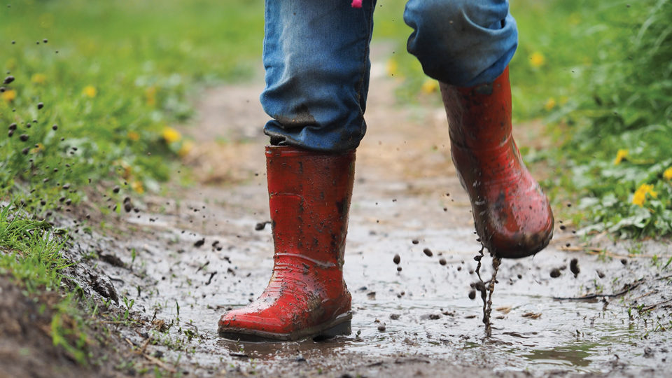 Let Them Eat Dirt | Colorado Parent Magazine