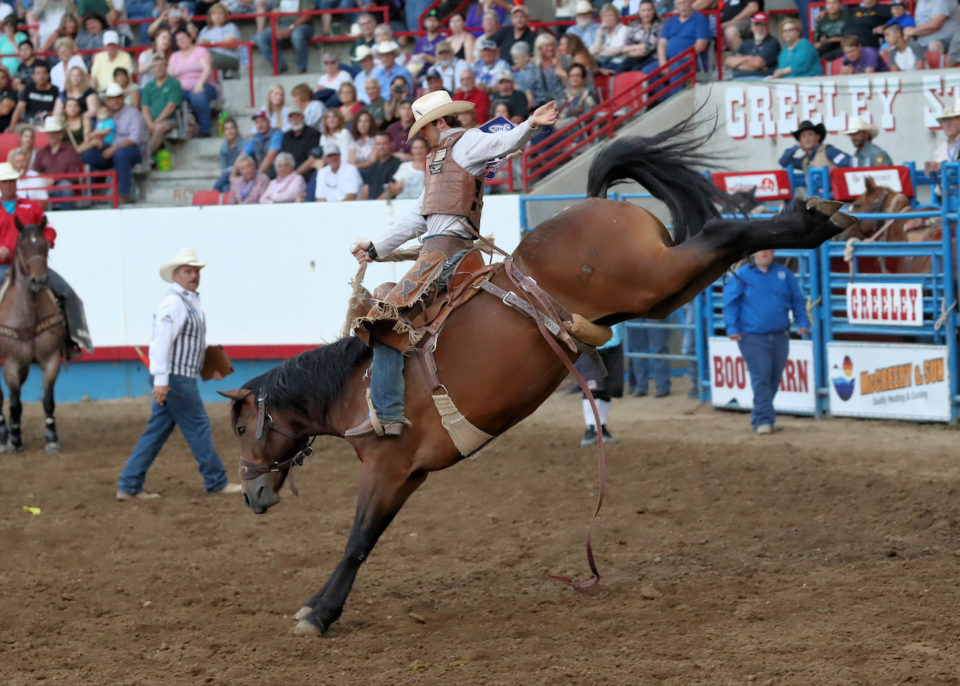 8 FamilyFriendly Summer Rodeos Colorado Parent