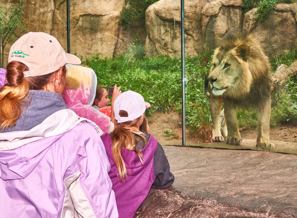 8 Ways to Keep Kids Busy Over Presidents Day Weekend