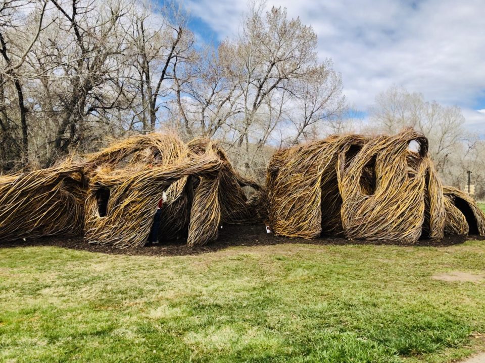 Patrick Dougherty