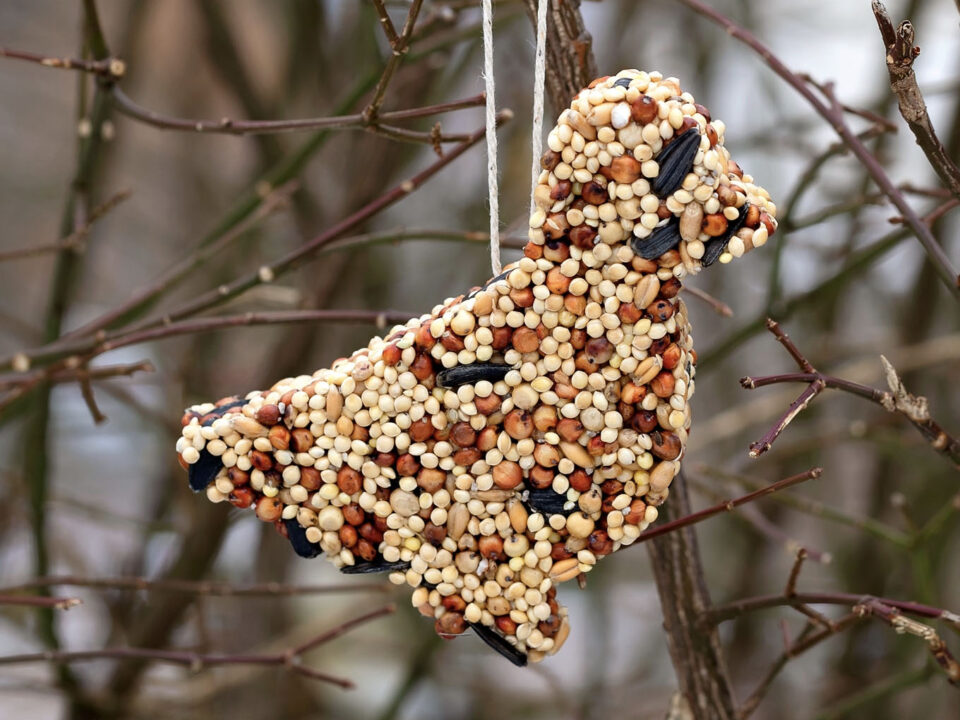 Birdseed Ornament - Fireflies + Mudpies