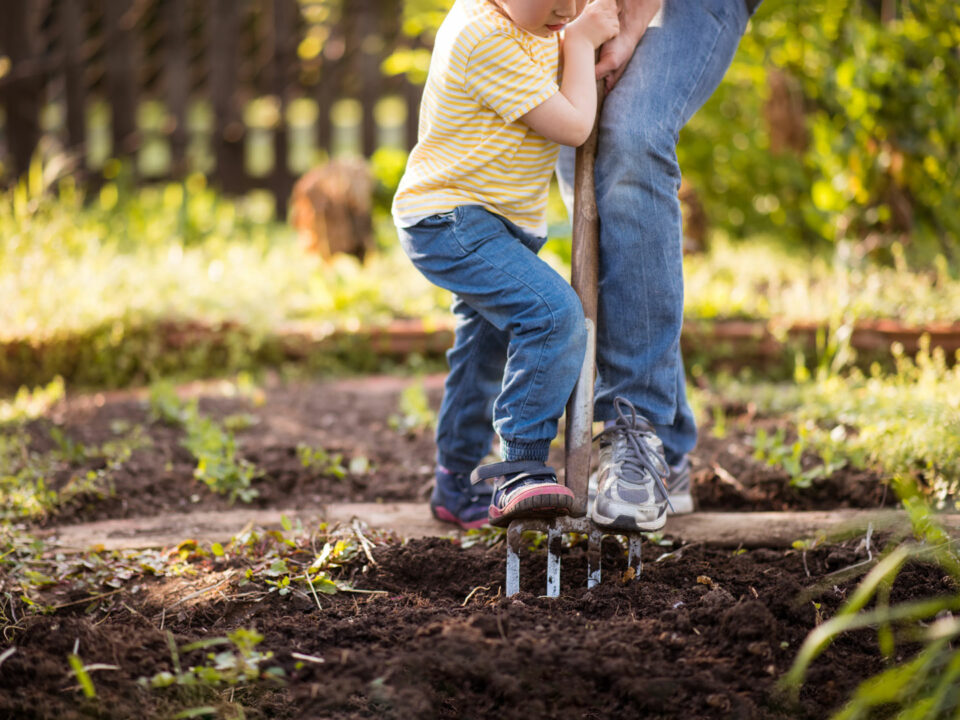 Child and parent with pitchfork in the garden