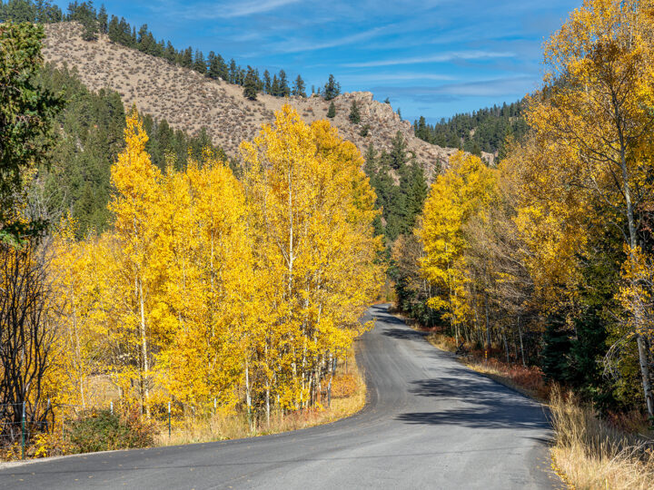 Fall Activities in Denver Familyfriendly Fall Activities in Colorado