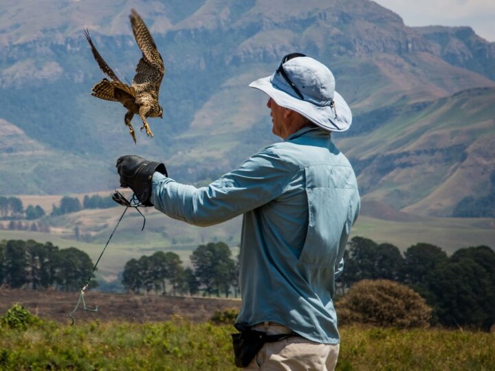 How to Safely Interact with Wildlife Colorado Parent
