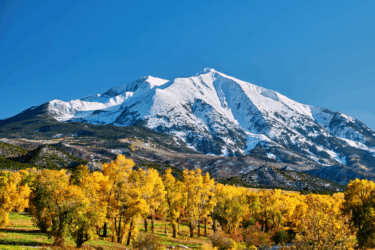 family favorites colorado