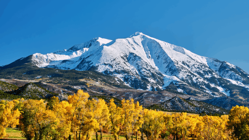 family favorites colorado