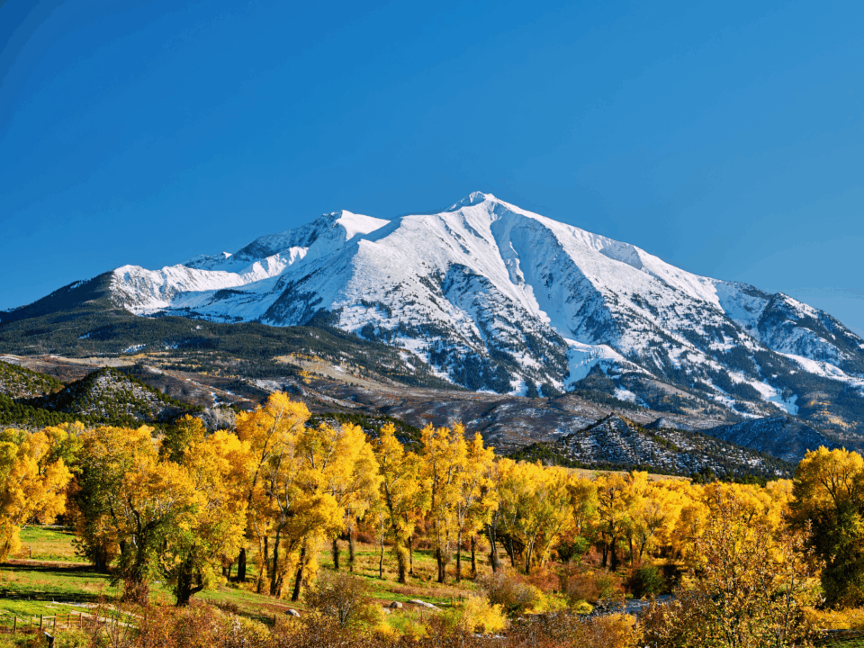 family favorites colorado