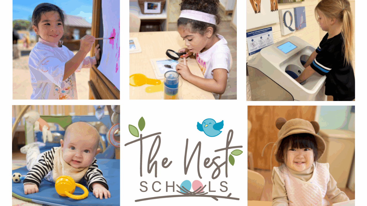 the nest schools