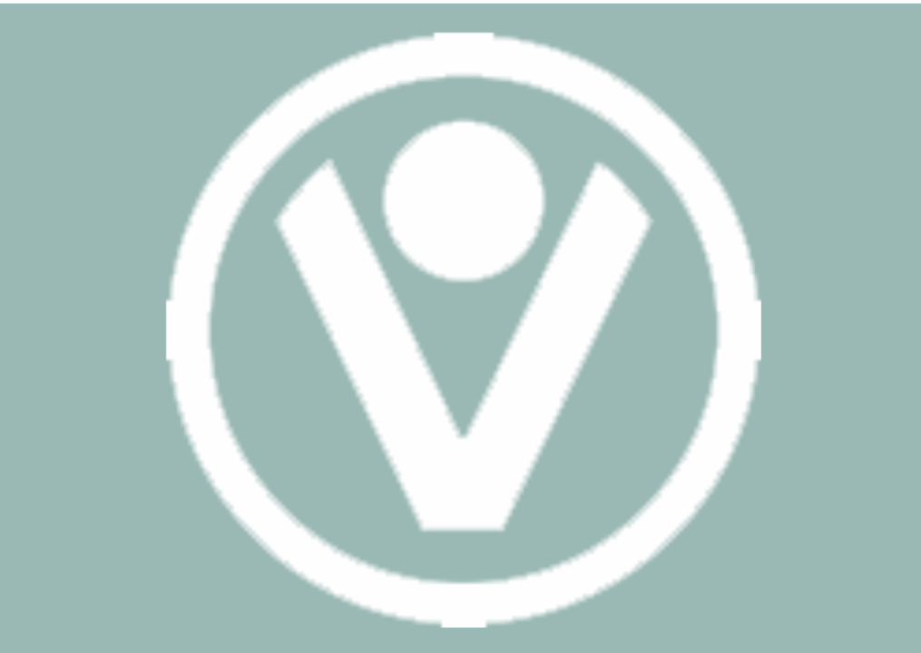 Vertical Skills Academy