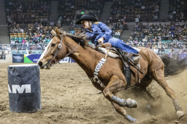 horse riding competition at the national western stock show